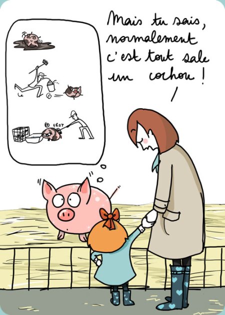 255-cochon